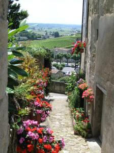 View from an Alley in Saint Emilion